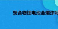 聚合物鋰電池會爆炸嗎(聚合物)
