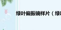 綠葉偏振鏡樣片(綠葉偏振鏡)
