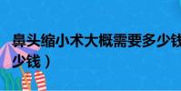 鼻頭縮小術大概需要多少錢(縮小鼻頭手術多少錢)