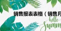 銷售報表表格(銷售月報表格式)