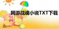 網游戰魂小說TXT下載(網游戰魂)