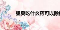 狐臭吃什么藥可以除根(孤臭)