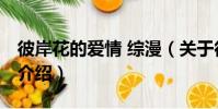 彼岸花的愛情 綜漫(關于彼岸花的愛情 綜漫介紹)