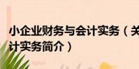 小企業財務與會計實務(關于小企業財務與會計實務簡介)