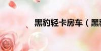 黑豹輕卡房車(黑豹輕卡)