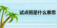 試點班是什么意思(試點)