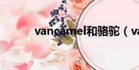 vancamel和駱駝(vancamel)