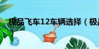 極品飛車12車輛選擇(極品飛車12配置要求)