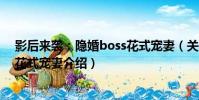 影后來襲:隱婚boss花式寵妻(關于影后來襲:隱婚boss花式寵妻介紹)