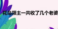 花島領主一共收了幾個老婆(花島領主txt)