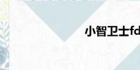 小智衛士fd