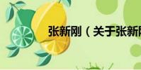 張新剛(關于張新剛介紹)