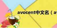 avocent中文名(avocent)