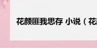 花顏匪我思存 小說(花顏匪我思存)