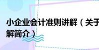 小企業會計準則講解(關于小企業會計準則講解簡介)