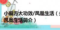 小偏方大功效/鳳凰生活(關于小偏方大功效/鳳凰生活簡介)