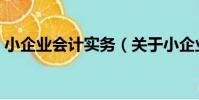 小企業會計實務(關于小企業會計實務簡介)