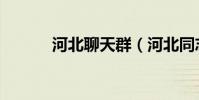 河北聊天群(河北同志聊天室)