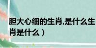 膽大心細的生肖,是什么生肖(膽大心細的生肖是什么)