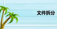 文件拆分