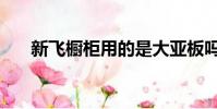 新飛櫥柜用的是大亞板嗎(新飛櫥柜)