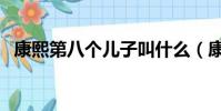 康熙第八個兒子叫什么(康熙第八個兒子)