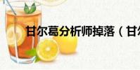 甘爾葛分析師掉落(甘爾葛分析師)