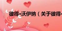 彼得·沃伊納(關于彼得·沃伊納介紹)