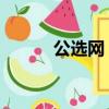 公選網 中公（中國公選考試網）
