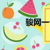 駿網一卡通官網（網弦一卡通）