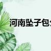 河南墜子包公案20集（河南墜子包公案）