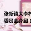 張新鎮大李村民委員會（關于張新鎮大李村民委員會介紹）