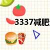 3337減肥法成功日記（3337減肥法）