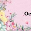 Oem平臺（oem之家）