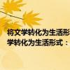 將文學轉化為生活形式：當代中國文學新狀態的意義與風格（關于將文學轉化為生活形式：當代中國文學新狀態的意義與風格簡介）