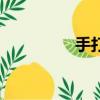手打花生豆（手打豆花）