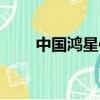 中國鴻星體育有限公司（中國鴻星）