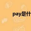 pay是什么意思（pat是什么意思）