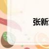張新泳（關于張新泳介紹）
