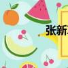 張新革（關于張新革介紹）