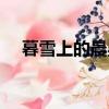 暮雪上的晨星全文閱讀（暮雪下的晨星）