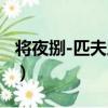 將夜捌-匹夫之勇（關于將夜捌-匹夫之勇簡介）