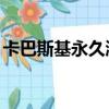 卡巴斯基永久激活碼（卡巴斯基pure激活碼）