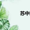 蘇中國際機場（蘇邦機場）