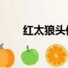 紅太狼頭像超可愛（紅太狼qq頭像）