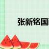 張新銘國畫（關于張新銘國畫介紹）