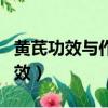 黃芪功效與作用及禁忌的功效與作用（黃芪功效）
