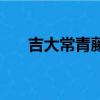 吉大常青藤考研多少錢（吉大常青藤）