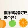 搜狗瀏覽器好還是360瀏覽器好（搜狗瀏覽器和360瀏覽器哪個好）