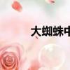 大蜘蛛中文官網（大蜘蛛綠色版）